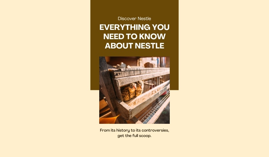 Everything You Need to Know About Nestle - by Ankita Panpatil  - CollectLo