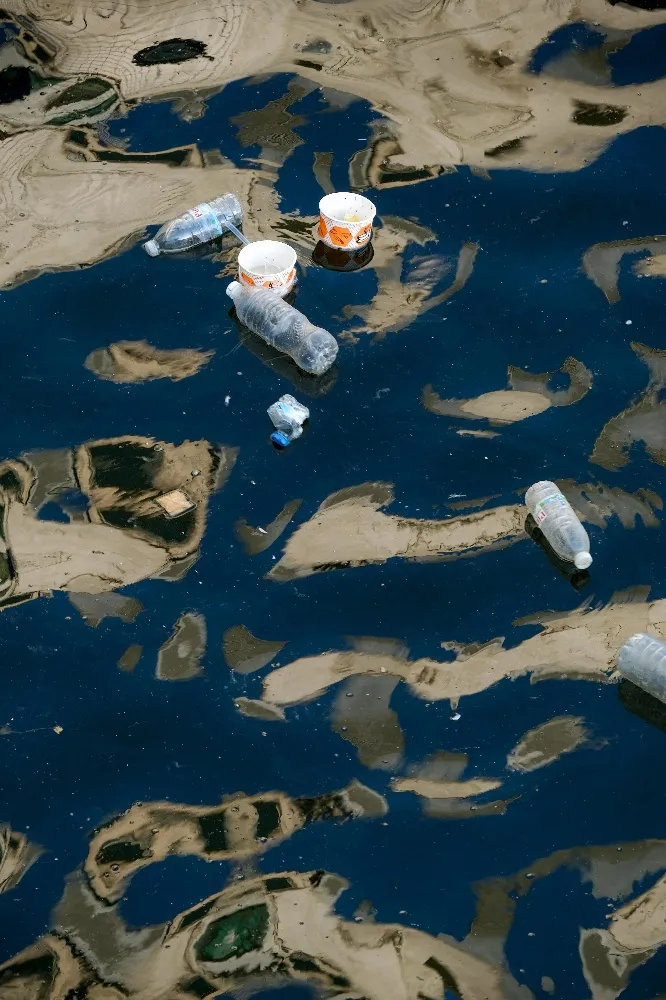 WATER POLLUTION - by Rajalakshmi M R - CollectLo