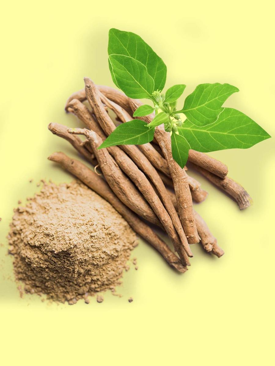 7 Amazing Health Benefits of Ashwagandha - by Poulomi Das - CollectLo
